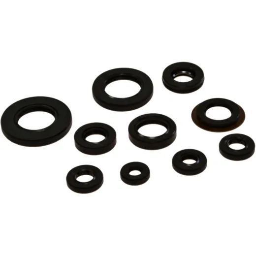 Engine oil seal kit OSL206