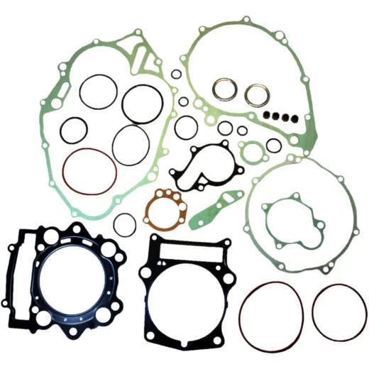 Complete gasket / seal kit P400010850026