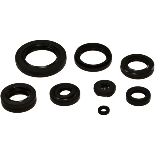 Engine oil seal kit OSL213
