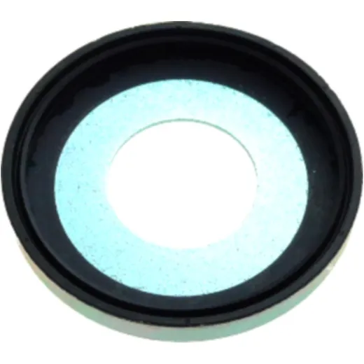 Dichtr (orig spare part) 10V2341601