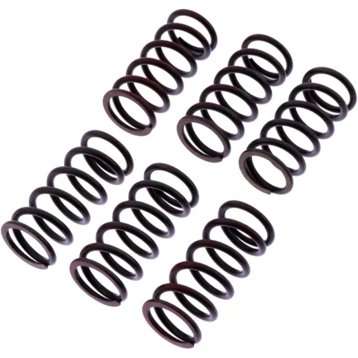 Clutch spring kit reinforced trw MEF3006