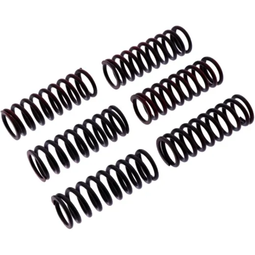 Clutch spring kit reinforced trw MEF3026