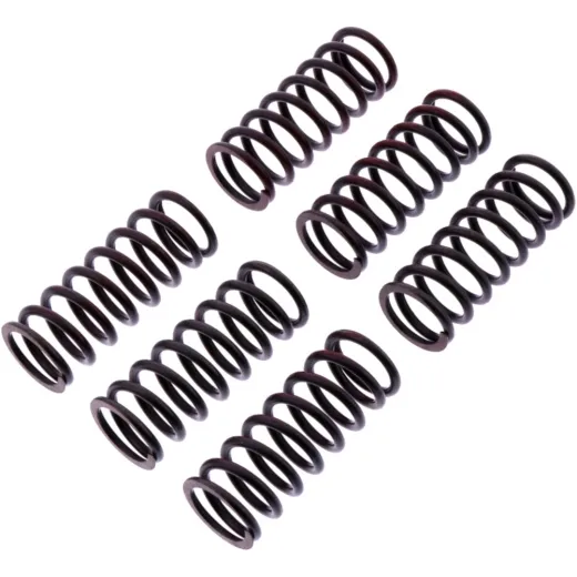 Clutch spring kit reinforced trw MEF3266