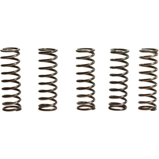 Clutch spring kit (5) MEF1445