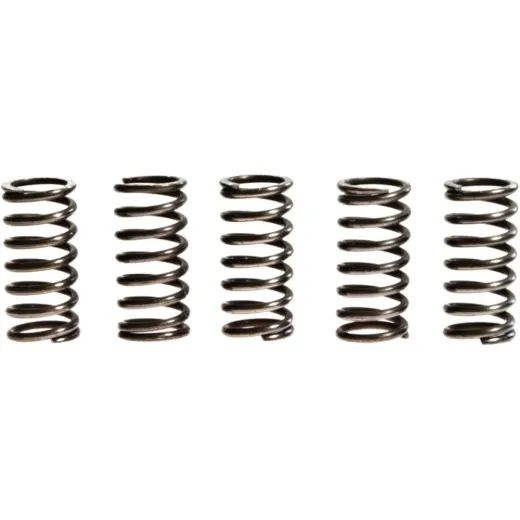 Clutch spring kit (5)