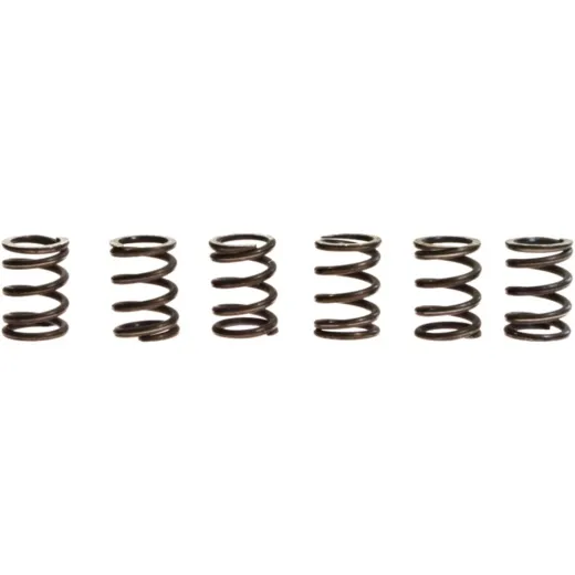 Clutch spring kit (6)