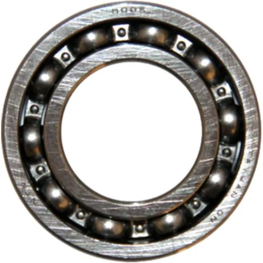 ROLLER BEARING 6005 NTN