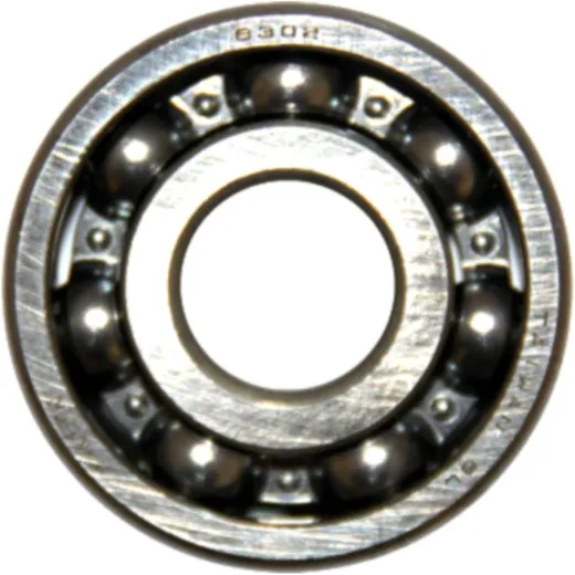 ROLLER BEARING 6302 NTN