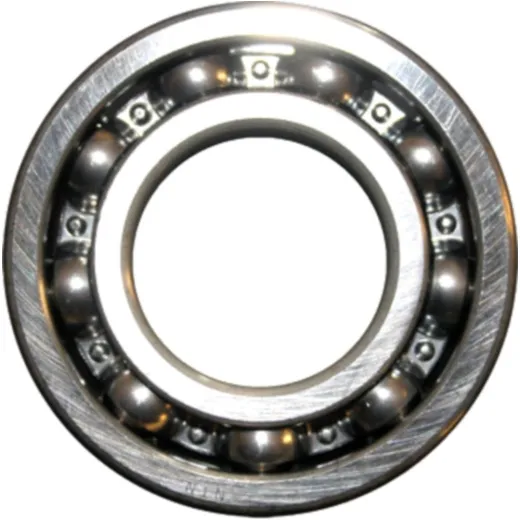 Roller bearing 6207