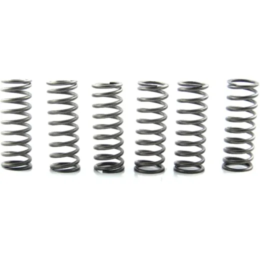 Clutch spring kit (6) CSK205