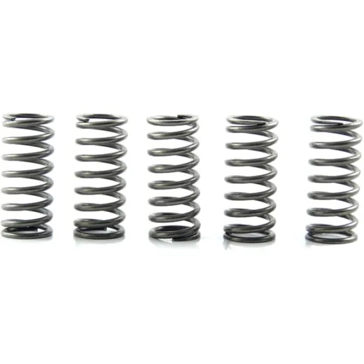 Clutch spring kit (5) CSK132