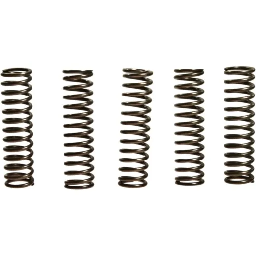 Clutch spring kit (5) CSK128