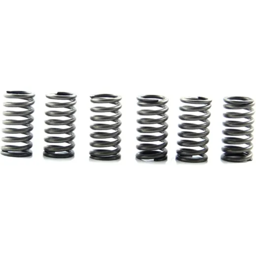 Clutch spring kit (6) CSK167