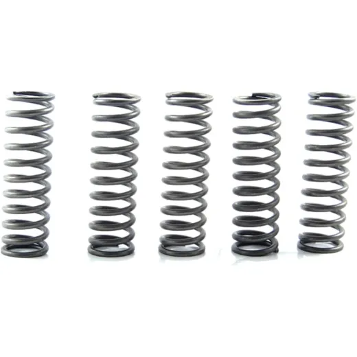 Clutch spring kit CSK169