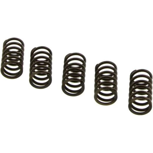 Clutch spring kit (5) CSK194