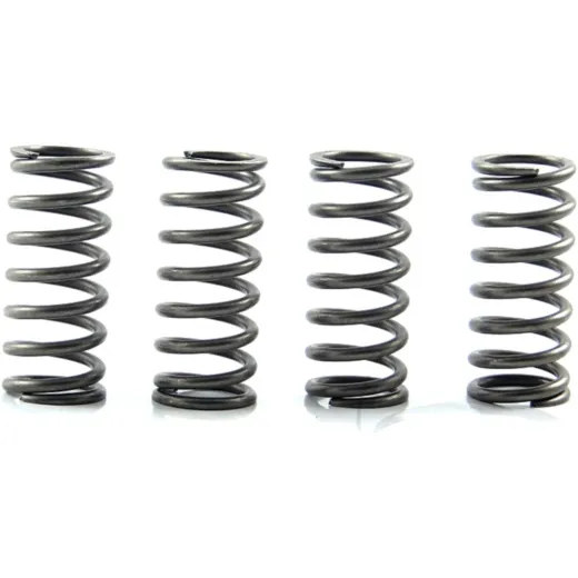 Clutch spring kit (4) CSK208