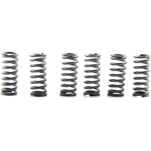 Clutch spring kit (6) CSK210