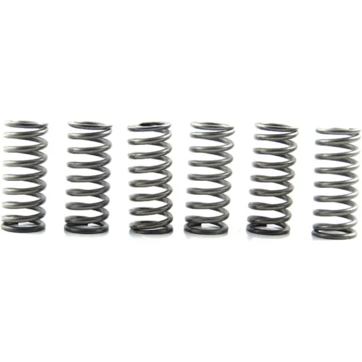 Clutch spring kit (6) CSK211