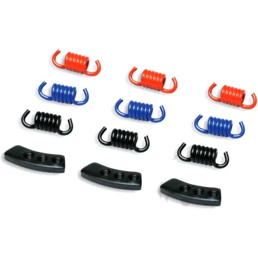 Coupling FED Malossi RACE