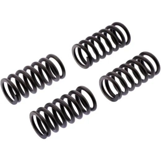 Clutch spring kit reinforced ebc CSK233