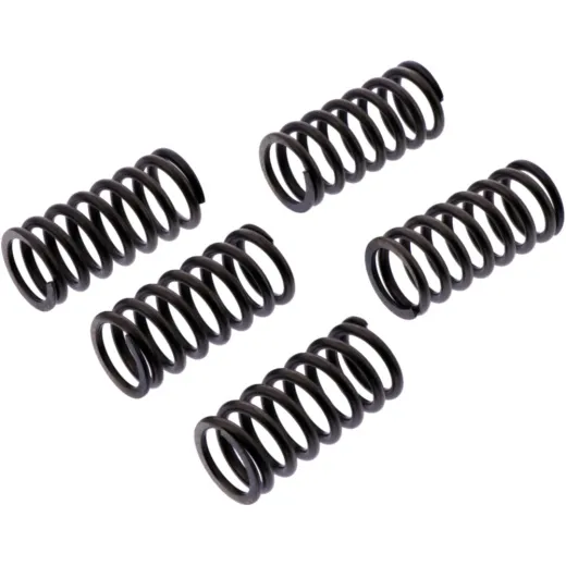 Clutch spring kit reinforced ebc CSK237