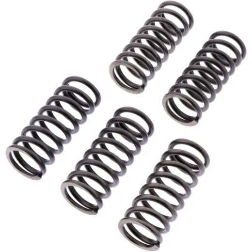 Clutch spring kit reinforced ebc CSK246