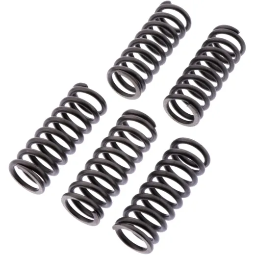 Clutch spring kit reinforced ebc CSK254