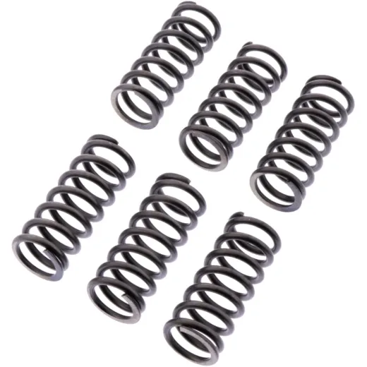Clutch spring kit reinforced ebc CSK221