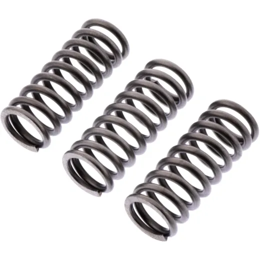 Clutch spring kit reinforced ebc CSK228