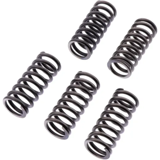Clutch spring kit reinforced ebc CSK262