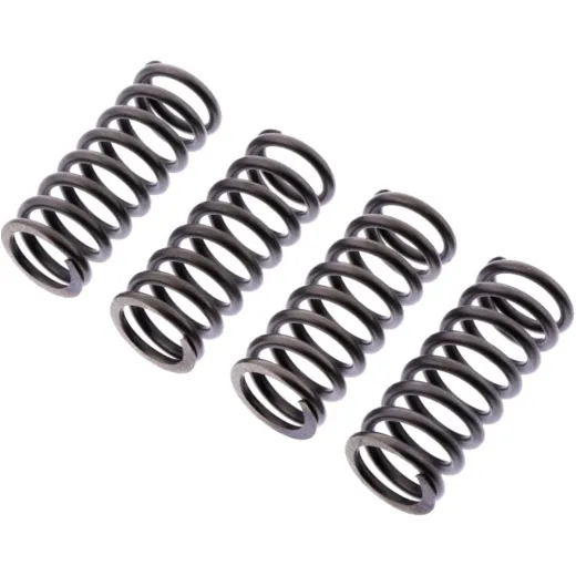 Clutch spring kit reinforced ebc CSK219