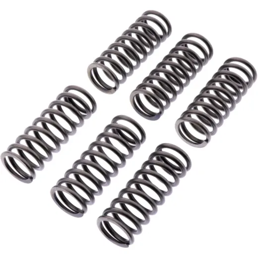 Clutch spring kit reinforced ebc CSK231