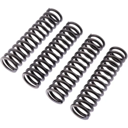 Clutch spring kit reinforced ebc CSK217