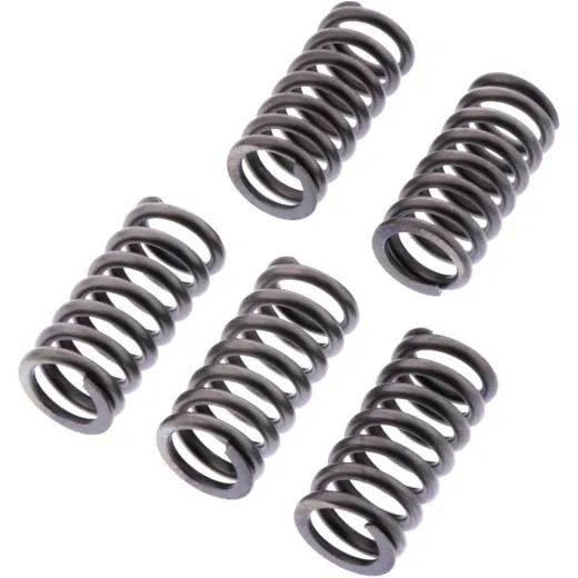 Clutch spring kit reinforced ebc CSK245