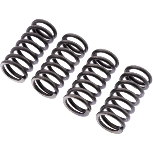 Clutch spring kit reinforced ebc CSK261