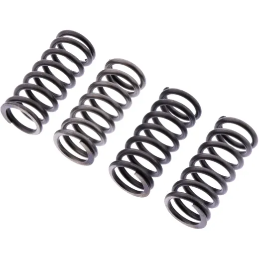 Clutch spring kit reinforced ebc CSK260