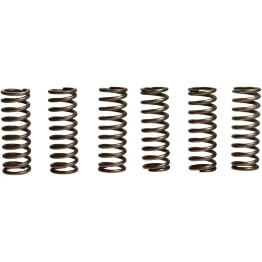 Clutch spring kit (6) CSK090