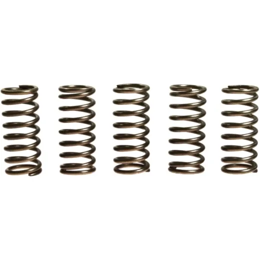 Clutch spring kit (5) CSK138