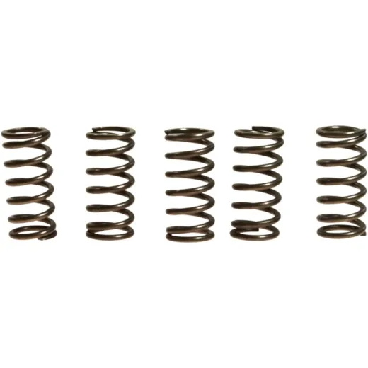 Clutch spring kit (5) CSK176
