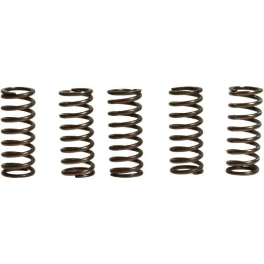 Clutch spring kit (5) CSK182
