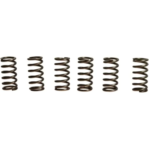 Clutch spring kit (6) CSK139