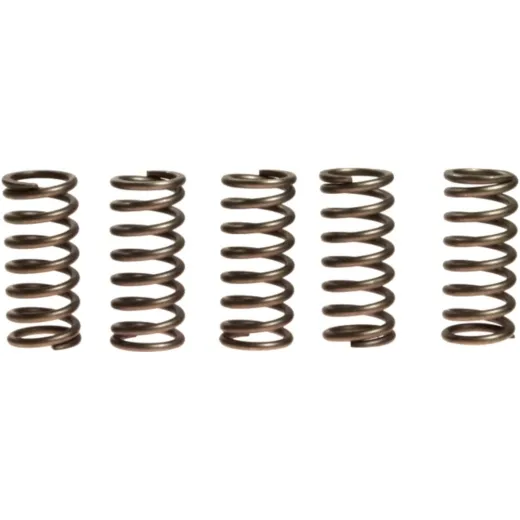 Clutch spring kit (6) CSK135