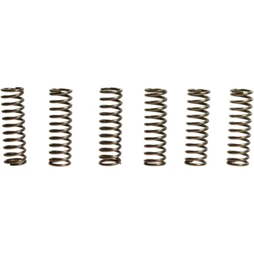 Clutch spring kit (6) CSK126