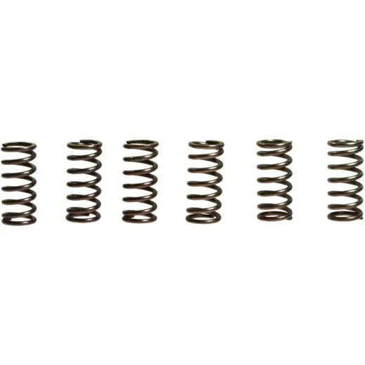 Kupplungsfedern verstärkt EBC CSK002