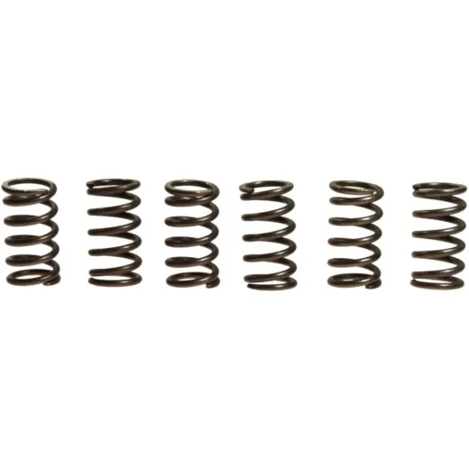 Clutch spring kit (6) CSK007