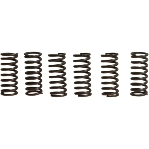 Kupplungsfedern verstärkt EBC CSK029