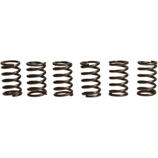 Clutch spring kit (6) CSK023