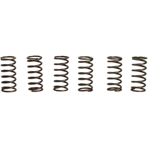 Clutch spring kit (6) CSK038