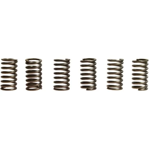 Clutch spring kit (6) CSK041