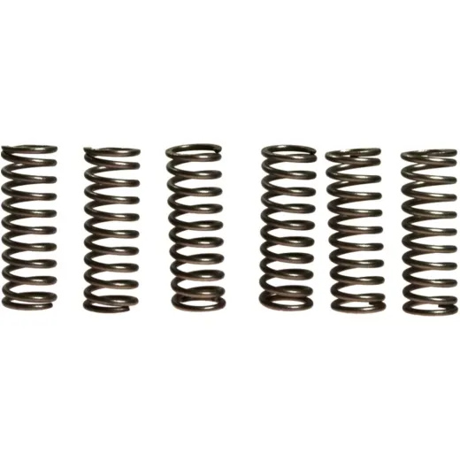 Clutch spring kit (6) CSK069